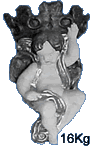 Cupid Bowl