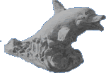 Jumping Dolphin